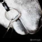 Hrímnis hringamél með bita - Image 2