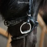 Hrímnir nasamúll - mótaður með skáreim - Image 2