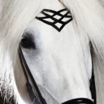Höfuðleður Heritage D - Image 4