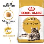 Royal Canin kattamatur Maine coon