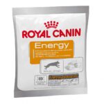 Royal Canin Nutritrional Sup Energy 50g.