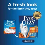 Ever Clean kattasandur Fast Acting 10L