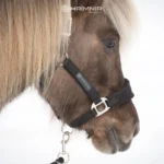 Hrímnis stallmúll með taum - Delux - Image 2