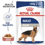 Royal Canin Maxi adult blautmatur