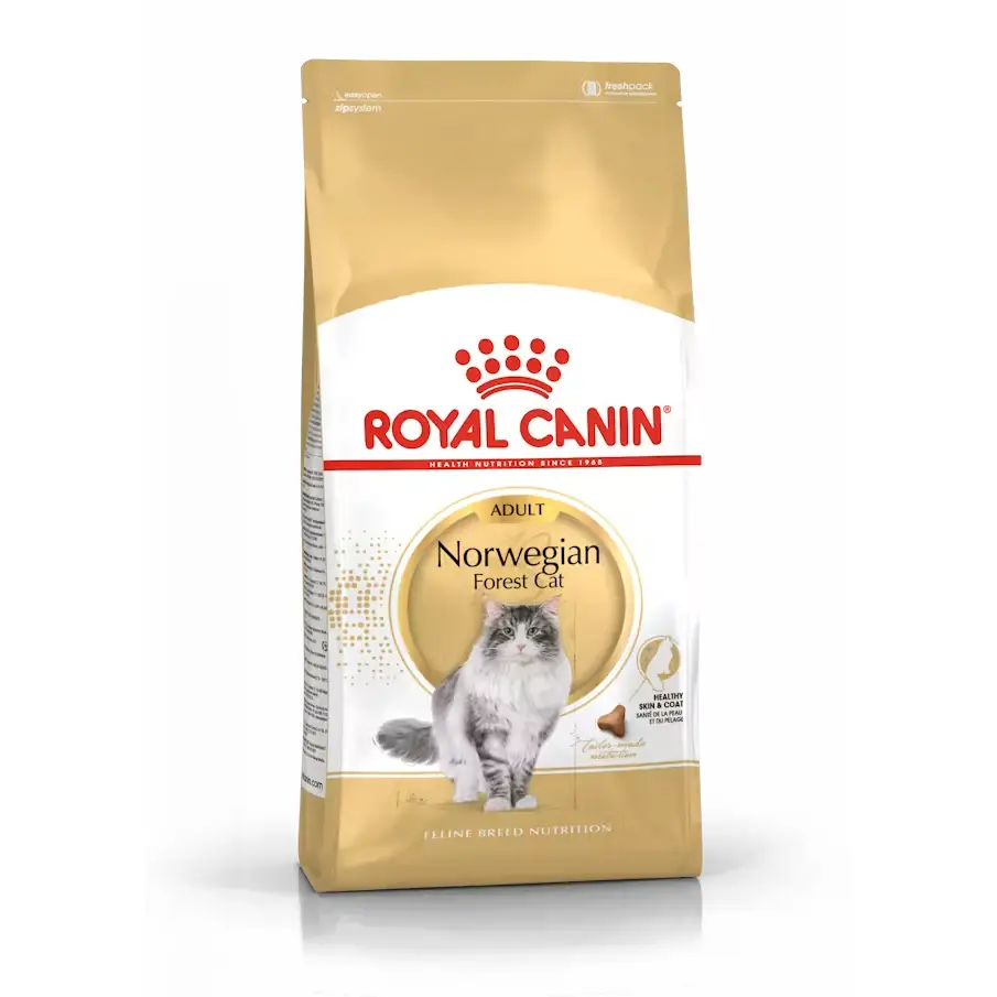 royal-canin-norwegian-forest-cat Royal Canin - Norwegian Forest Cat Adult - Image 1